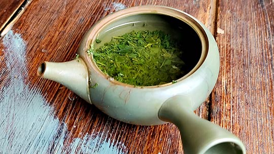 Préparer le thé vert japonais