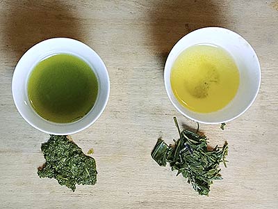 etuvage-sencha différents types de sencha