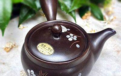 Comment choisir une théière japonaise