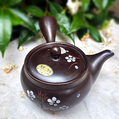 Comment choisir une théière japonaise
