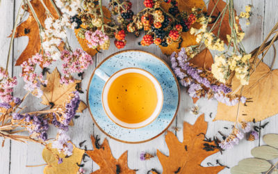 Vertus des thés détox et infusions bien-être